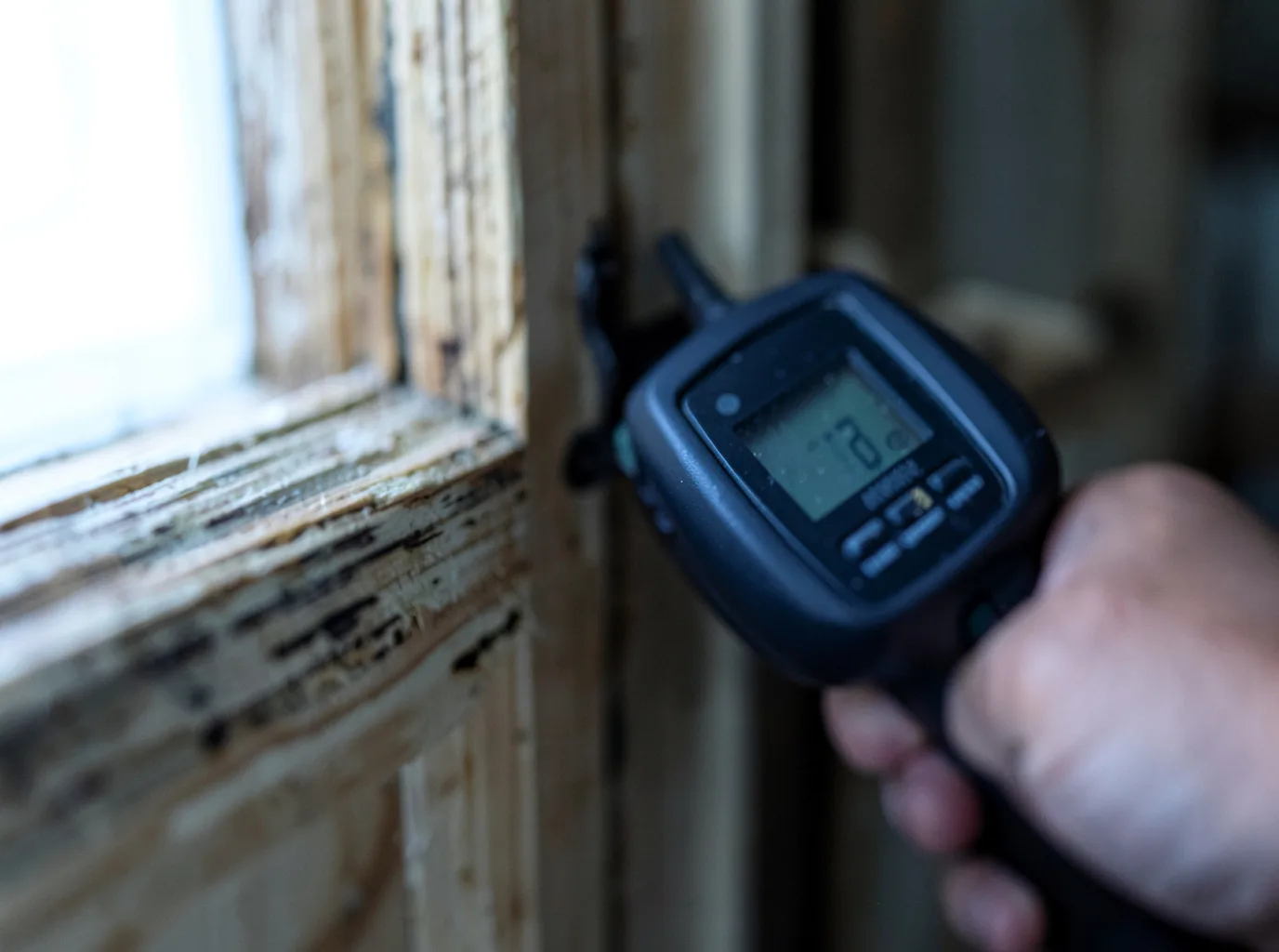 Commercial Water Damage Restoration in Roswell, NM